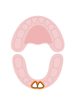 kidsonline-Tất tần tật quá trình moc răng và thay răng của trẻ2